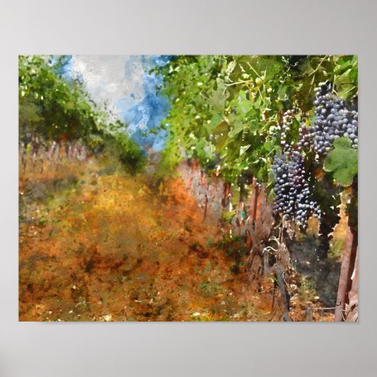 Vineyard in Napa Valley California Poster (Voorkant)