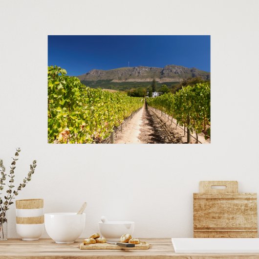 Vineyard, Kaapstad, Western Kaapstad, Zuid-Afrika Poster (Keuken)