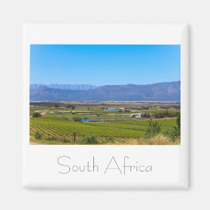 Vineyard Landscape South Africa SA Magnet