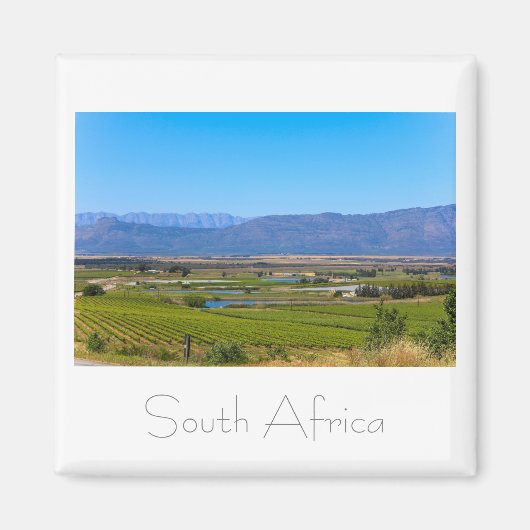 Vineyard Landscape South Africa SA Magnet (Voorkant)