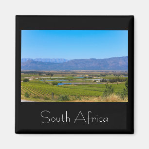 Vineyard Landscape South Africa SA Magnet