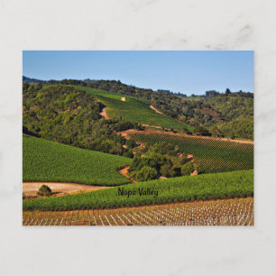 vineyard Napa Valley Briefkaart