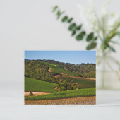 vineyard Napa Valley Briefkaart (Staand voorkant)