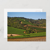 vineyard Napa Valley Briefkaart (Voorkant / Achterkant)