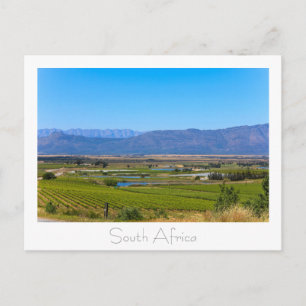 Vineyard Natuur Uitzicht South Africa SA Briefkaar Briefkaart