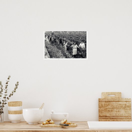 VINEYARD POSTER (Keuken)