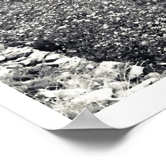 VINEYARD POSTER (Hoek)