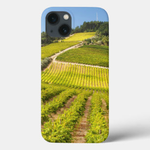 Vineyard, Stellenbosch, Westerne Kaapverdië Case-Mate iPhone Case