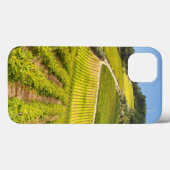 Vineyard, Stellenbosch, Westerne Kaapverdië Case-Mate iPhone Case (Achterkant (horizontaal))