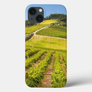 Vineyard, Stellenbosch, Westerne Kaapverdië Case-Mate iPhone Case