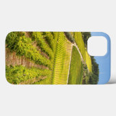 Vineyard, Stellenbosch, Westerne Kaapverdië Case-Mate iPhone Case (Achterkant (horizontaal))