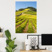 Vineyard, Stellenbosch, Westerne Kaapverdië Poster (Thuiskantoor)