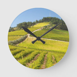 Vineyard, Stellenbosch, Westerne Kaapverdië Ronde Klok