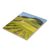 Vineyard, Stellenbosch, Westerne Kaapverdië Tegeltje (Zijkant)