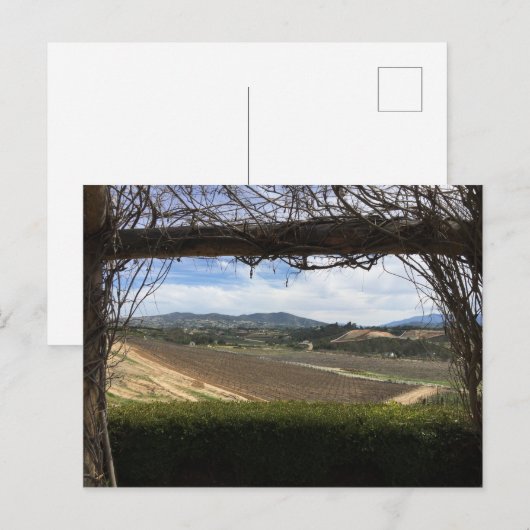 Vineyard Viewpoint Briefkaart (Voorkant / Achterkant)