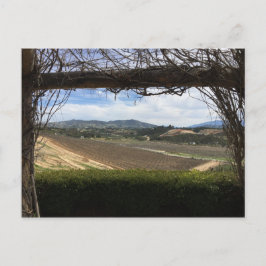 Vineyard Viewpoint Briefkaart