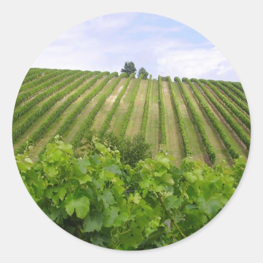 Vineyard - Vignoble (Bordeaux - Frankrijk) 02 Ronde Sticker (Voorkant)