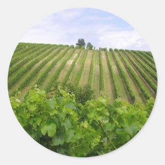 Vineyard - Vignoble (Bordeaux - Frankrijk) 02 Ronde Sticker