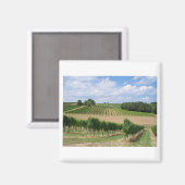 Vineyard - Vignoble (Bordeaux - Frankrijk) 04 Magneet (Voorkant / Achterkant)
