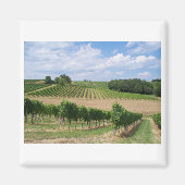 Vineyard - Vignoble (Bordeaux - Frankrijk) 04 Magneet (Voorkant)