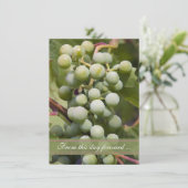 Vineyard Wedding Elopement/huwelijkskondiging Aankondiging (Staand voorkant)