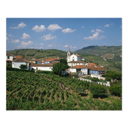 Vineyards, dorp San Miguel, Douro Foto Afdruk (Voorkant)