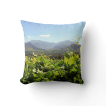 Vineyards in Franschhoek, Zuid-Afrika