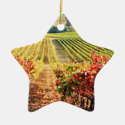 VINEYARDS.JPG KERAMISCH ORNAMENT (Voorkant)