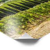 Vineyards landschappen in de ochtend in Chianti. Foto Afdruk (Hoek)