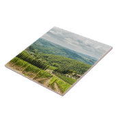 Vineyards landschappen in de ochtend in Chianti. Tegeltje (Zijkant)