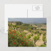 Vineyards nabij Laguardia, hoofdstad La Rioja Briefkaart (Voorkant / Achterkant)