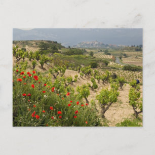 Vineyards nabij Laguardia, hoofdstad La Rioja Briefkaart
