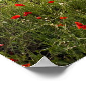 Vineyards nabij Laguardia, hoofdstad La Rioja Poster (Hoek)