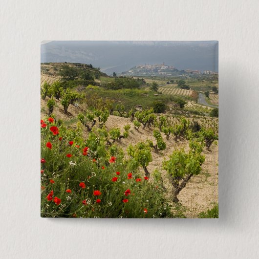 Vineyards nabij Laguardia, hoofdstad La Rioja Vierkante Button 5,1 Cm (Voorkant)