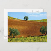 Vineyards nabij Montilla, Andalusië, Spanje bij de Briefkaart (Voorkant / Achterkant)