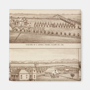 Vineyards, ranches, Tulare Co., Calif Magneet