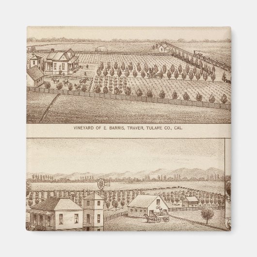 Vineyards, ranches, Tulare Co., Calif Magneet (Voorkant)