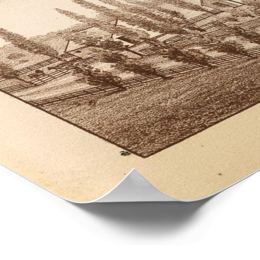 Vineyards, ranches, Tulare Co., Calif Poster (Hoek)