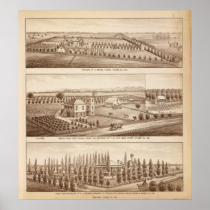 Vineyards, ranches, Tulare Co., Calif Poster