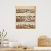 Vineyards, ranches, Tulare Co., Calif Poster (Keuken)