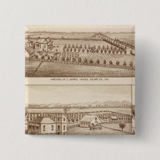 Vineyards, ranches, Tulare Co., Calif Vierkante Button 5,1 Cm (Voorkant)