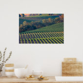 Vineyards van de Russische riviervallei Poster (Keuken)