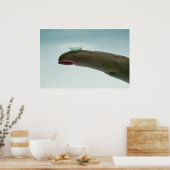 Vinger die een contactlens heeft poster (Keuken)