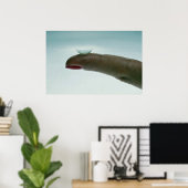 Vinger die een contactlens heeft poster (Thuiskantoor)