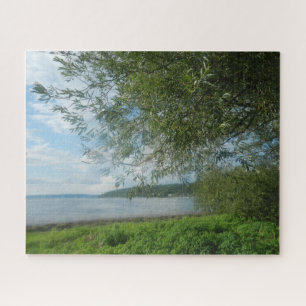 VINGER LAKT CAYUGA LAKE LEGPUZZEL