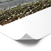 VINGER LAKT CAYUGA LAKE POSTER (Hoek)