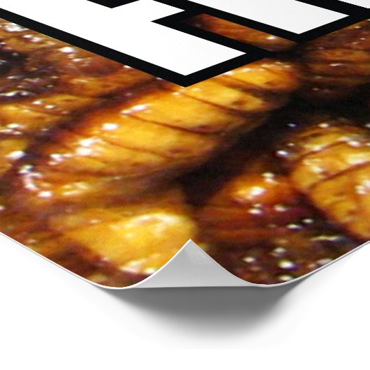 VINGER VOEDSEL?! MEME POSTER (Hoek)