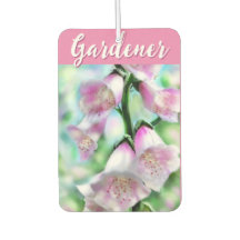 Vingerhoedskruid Bloemen Bloem Roze Tuin Persoonli