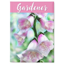 Vingerhoedskruid Bloemen Bloem Roze Tuin Persoonli
