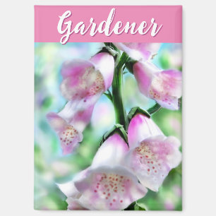 Vingerhoedskruid Bloemen Bloem Roze Tuin Persoonli Magneet